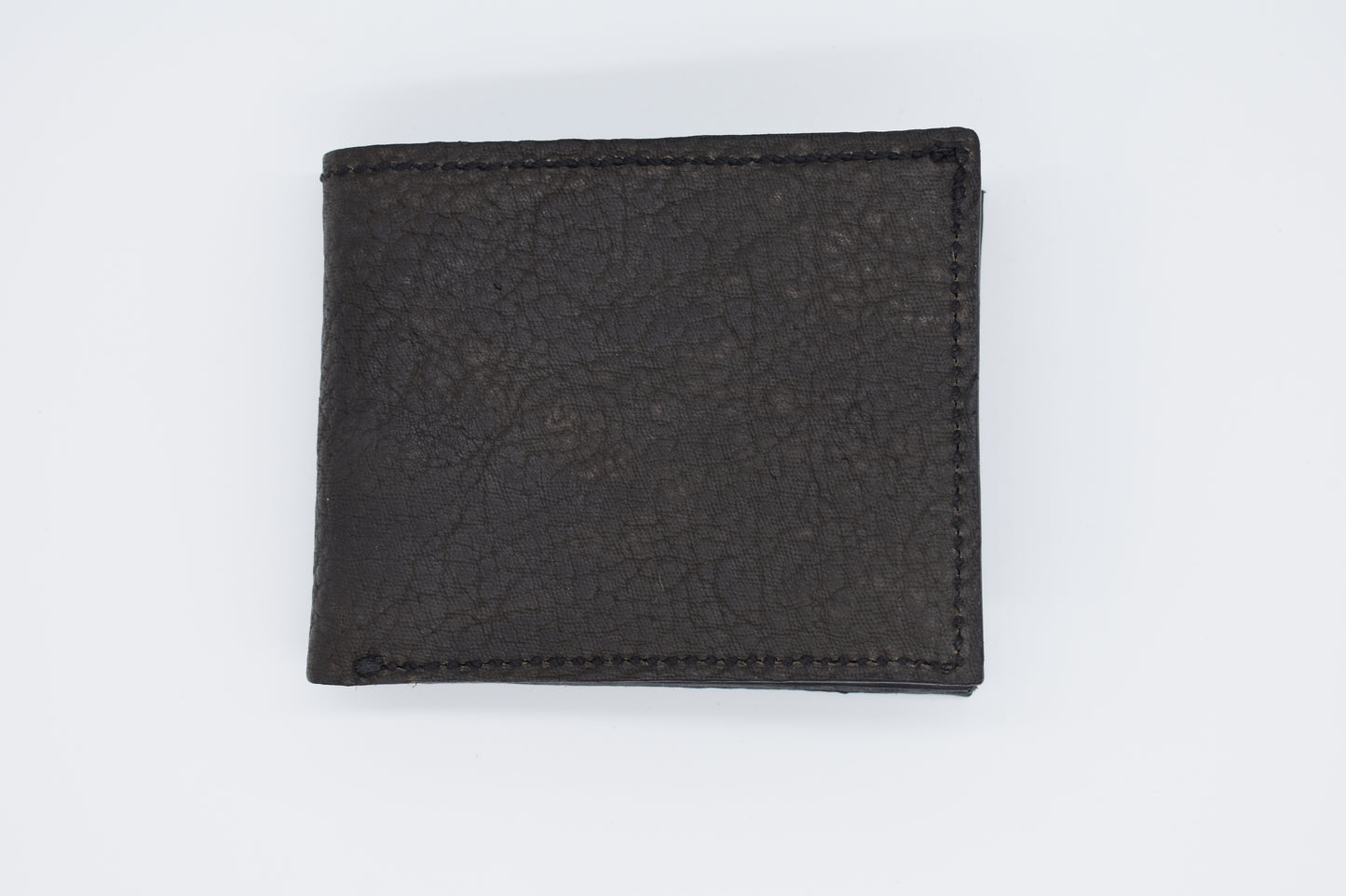 Billfold Shark with Stinray and Water Snake